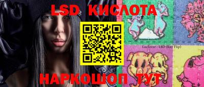 прущие грибы Абинск