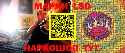 прущие грибы Абинск